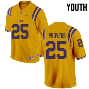 Youth Tae Provens Gold Louisiana State Tigers #25 Embroidery Jerseys