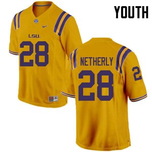 Youth Mannie Netherly Gold LSU #28 Player Jersey