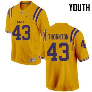 Youth Ray Thornton Gold Louisiana State Tigers #43 University Jersey