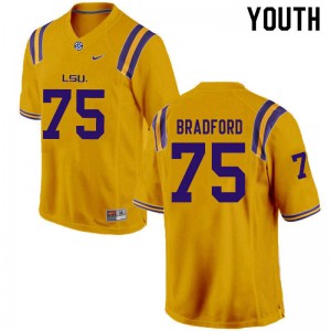 Youth Anthony Bradford Gold Louisiana State Tigers #75 Football Jersey