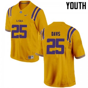 Youth Drake Davis Gold Louisiana State Tigers #25 Football Jerseys